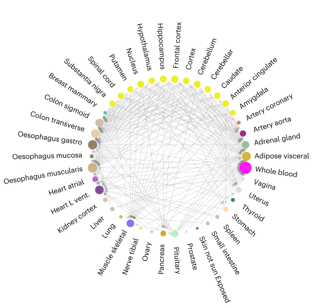 Open access visualization of Network, Chord, Tissue Network, Target Tissues, Reference Tissues