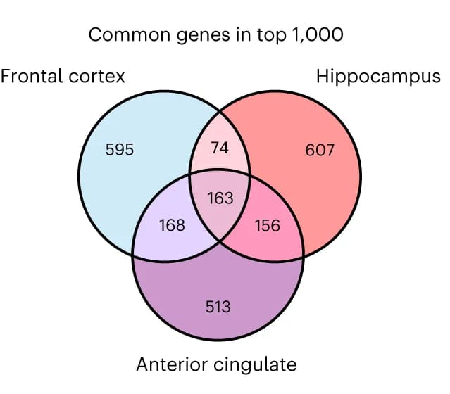 Open access visualization of Venn Diagram, Common Genes, Predicted Genes, Brain Tissue