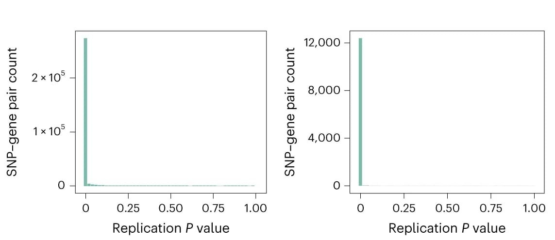 Open access visualization of Histogram, HYFA, cis-eQTLs, Whole Blood, Brain Prefrontal Cortex