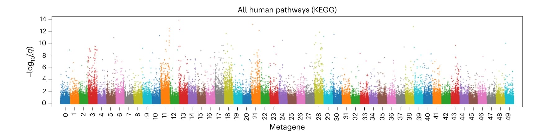 Open access visualization of Scatter Plot, Manhattan Plot, Bar Plot, GSEA, Metagenes