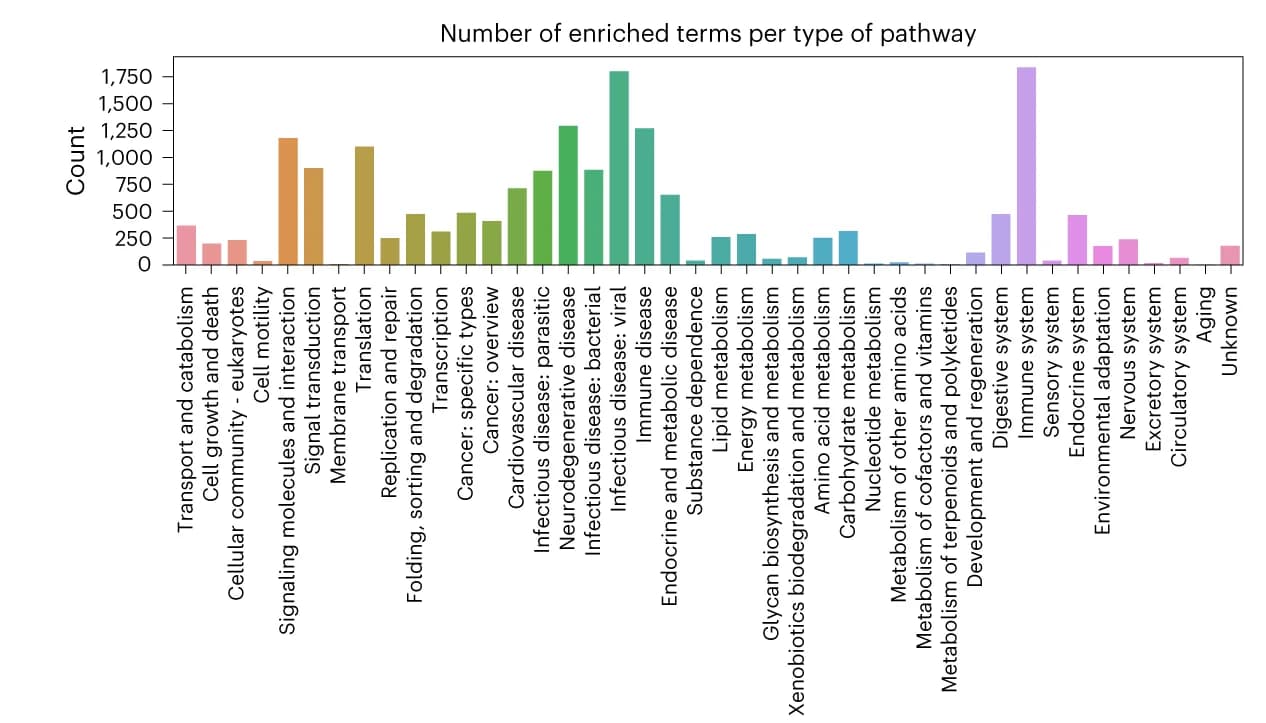 Open access visualization of Bar Plot, Enriched terms, Pathway