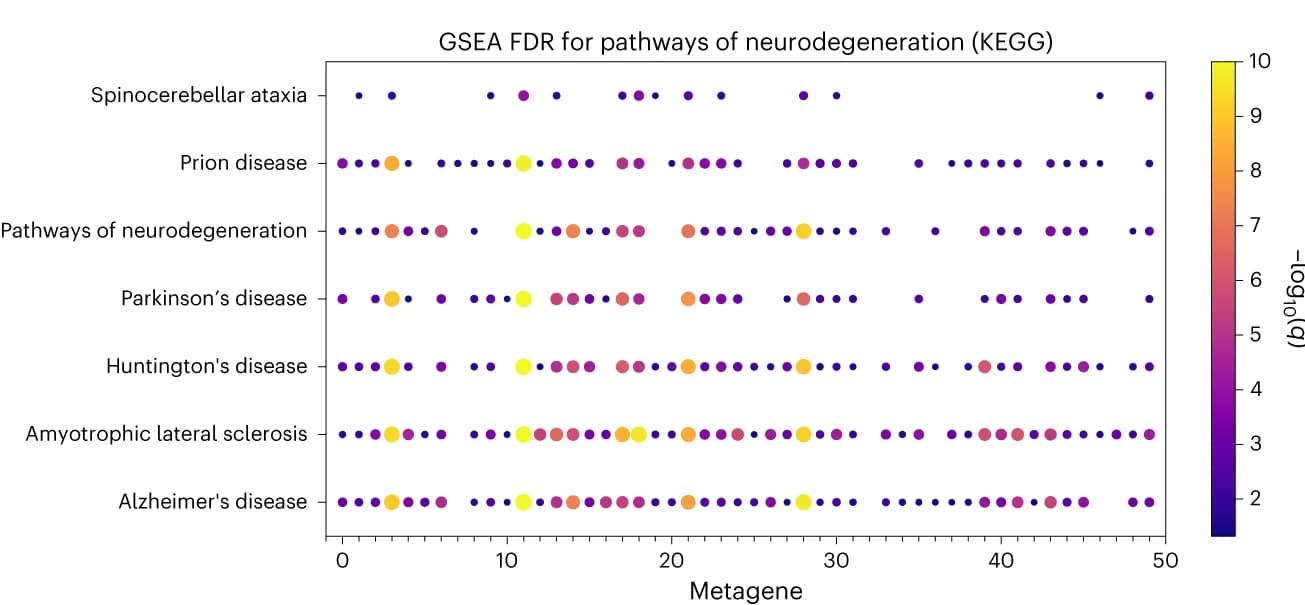 Open access visualization of Bubble Plot, FDR, Neurodegeneration, Pathway, Metagene