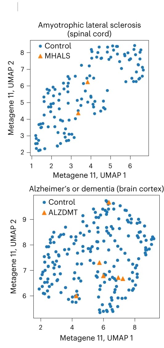 Open access visualization of Scatter Plot, UMAP, Latent values, Metagene, Spinal cord