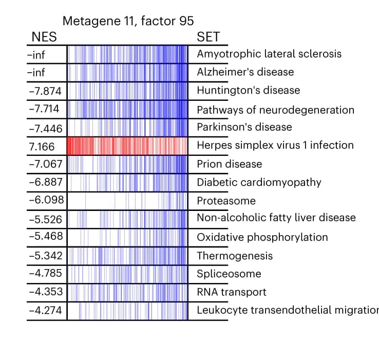 Open access visualization of Heatmap, Leading-edge subsets, Enriched gene sets, Factor, Metagene