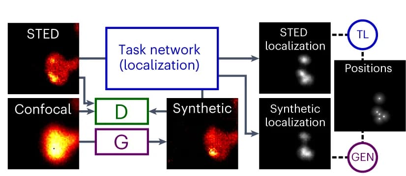 Open access visualization of Workflow, Illustration, TA-GAN Nano, Nanodomain dataset, Nanodomains