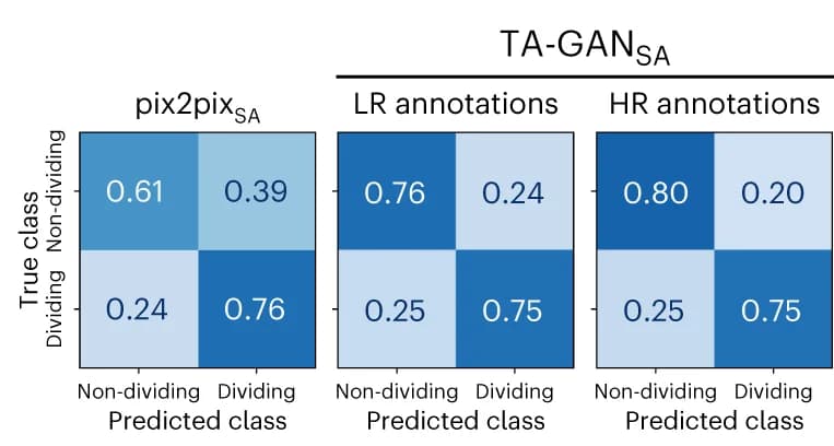 Open access visualization of Heatmap, Confusion Matrices, Dividing Cells, Non-Dividing Cells, S. aureus Dataset