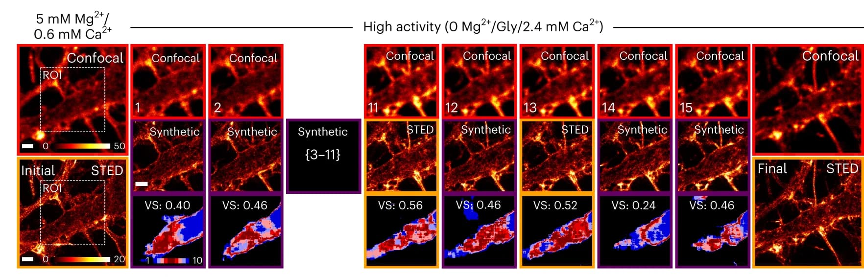 Open access visualization of Microscopy, Live-Cell Imaging, Dendritic F-Actin, TA-GAN Live Variability Maps, Photon Counts