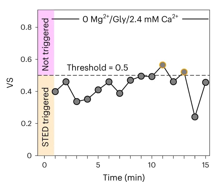 Open access visualization of Line Plot, Variability Score, Time Point, High-Variability Pixels, Low-Variability Pixels