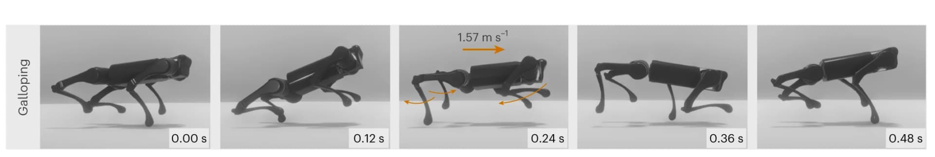 Open access visualization of Photo, Galloping gait, A1 Robot, Forward velocity