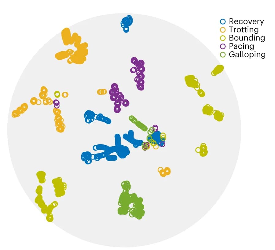Open access visualization of Scatter Plot, UMAP, PCA, Trajectories, Pacing policy