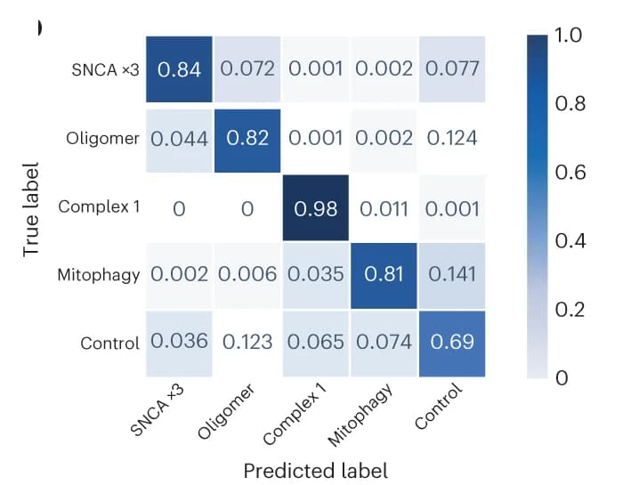 Open access visualization of Heatmap, Classification Performance, Confusion Matrix, Test Set, Cell Profile