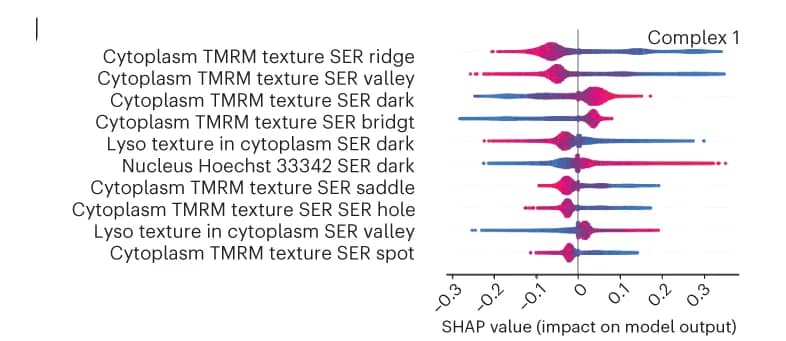 Open access visualization of Violin Plot, SHAP Summary Plot, Feature Importance, SHAP Values, Complex 1