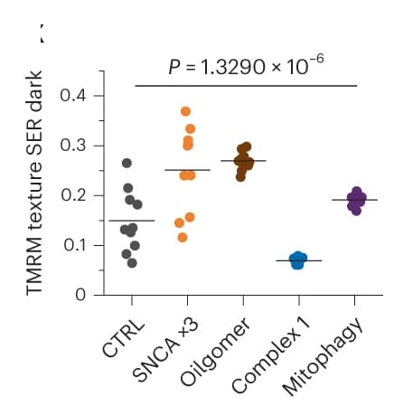 Open access visualization of Scatter Plot, Wells, Features, Cellular Subtype, ANOVA