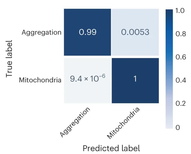 Open access visualization of Heatmap, Confusion matrix