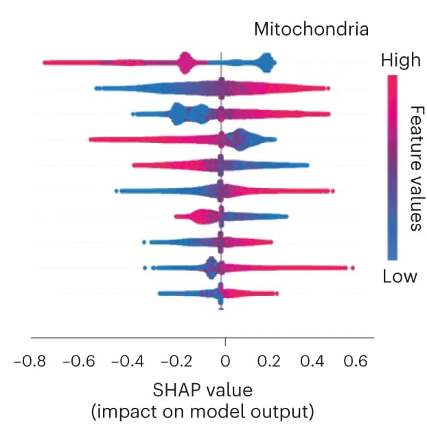 Open access visualization of Violin Plot, SHAP summary plot, Mitochondrial toxicity, Aggregation