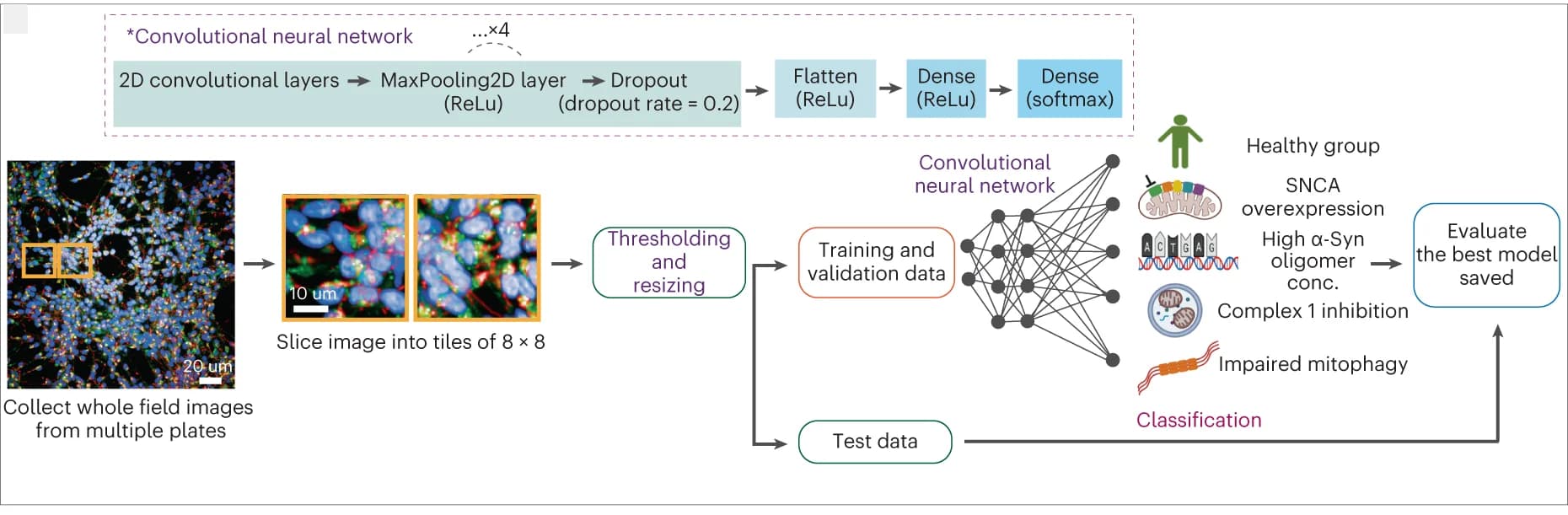 Open access visualization of Workflow, Illustration, Network, Deep Learning, Images