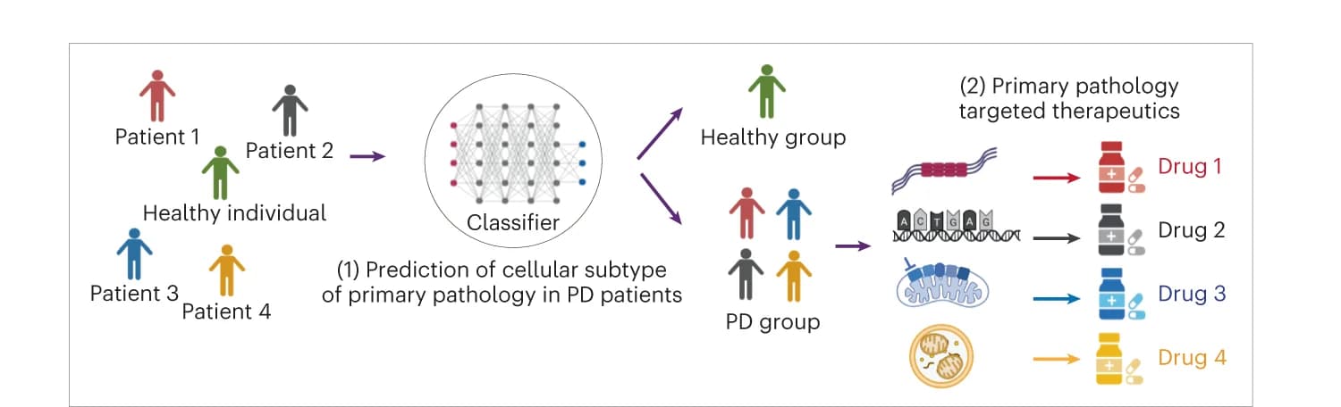 Open access visualization of Workflow, Illustration, Machine Learning, Parkinson's Disease, Therapeutics