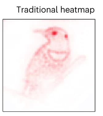 Open access visualization of Heatmap, Attribution Map, Bird, Image, Inference