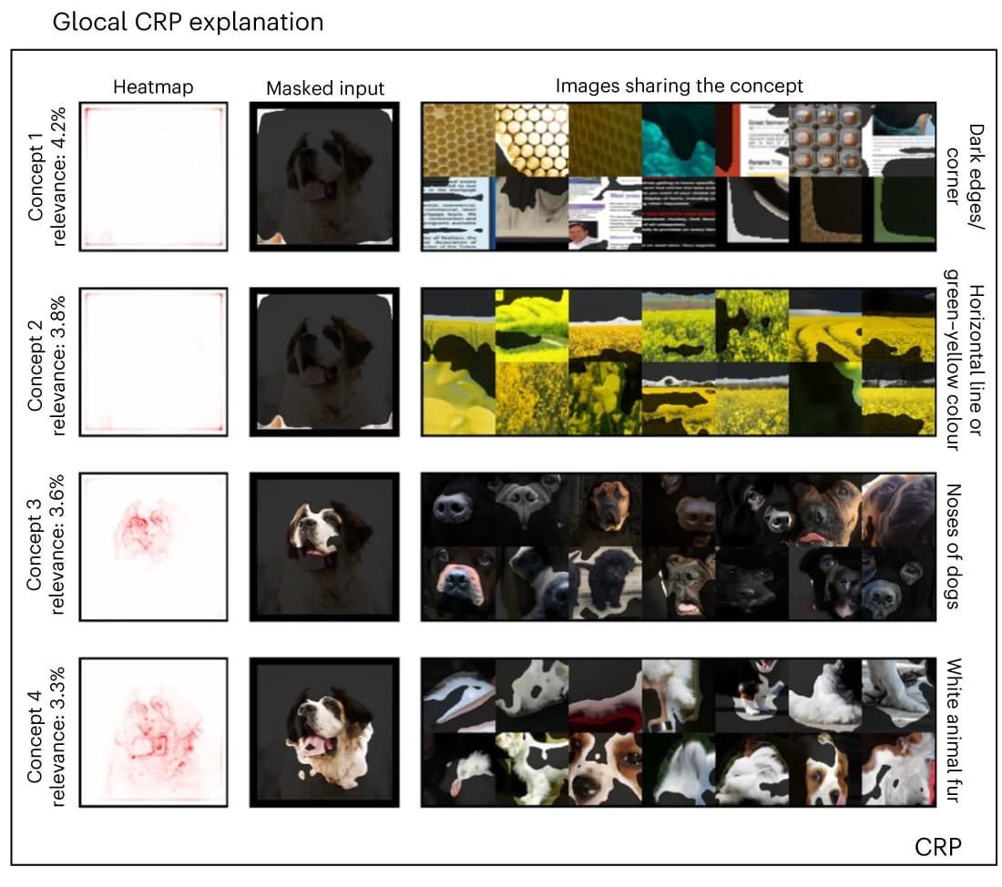 Open access visualization of Heatmap, Photo, Explanation, CRP, RelMax