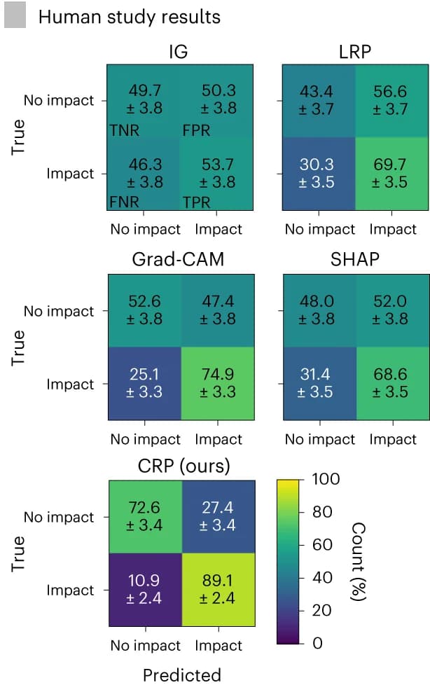 Open access visualization of Heatmap, Human Evaluation, Participant Predictions, Border Artefact, Prediction Outcome