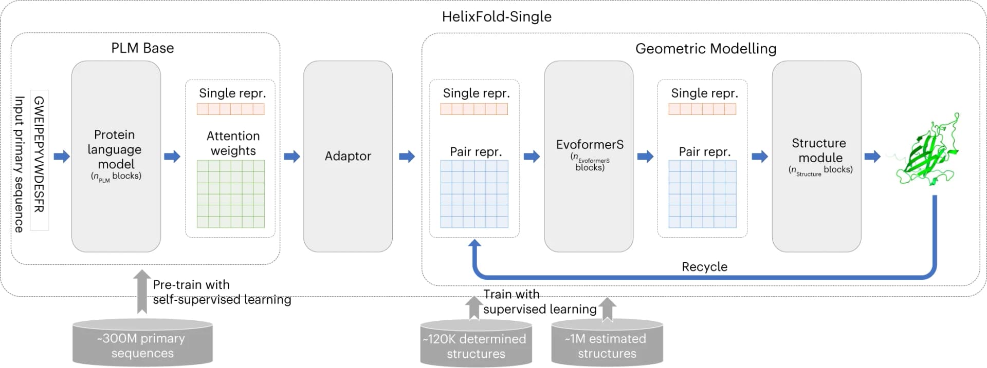 Open access visualization of Workflow, Flowchart, Illustration, Protein Language Model, PLM Base