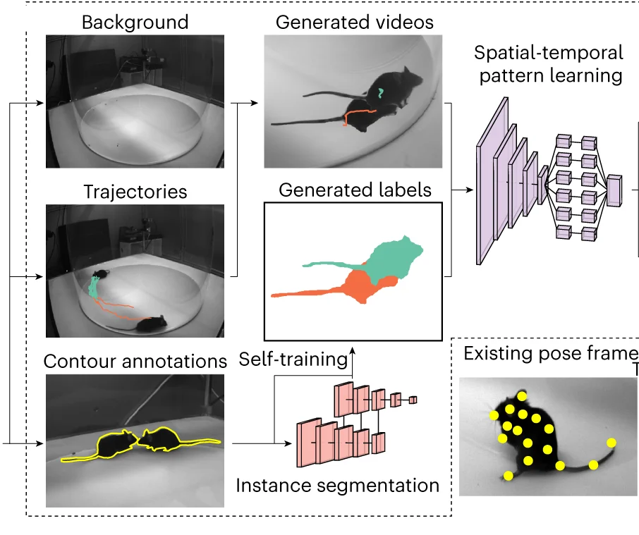 Open access visualization of Workflow, Flowchart, Photo, COCA, Multi-animal Patching