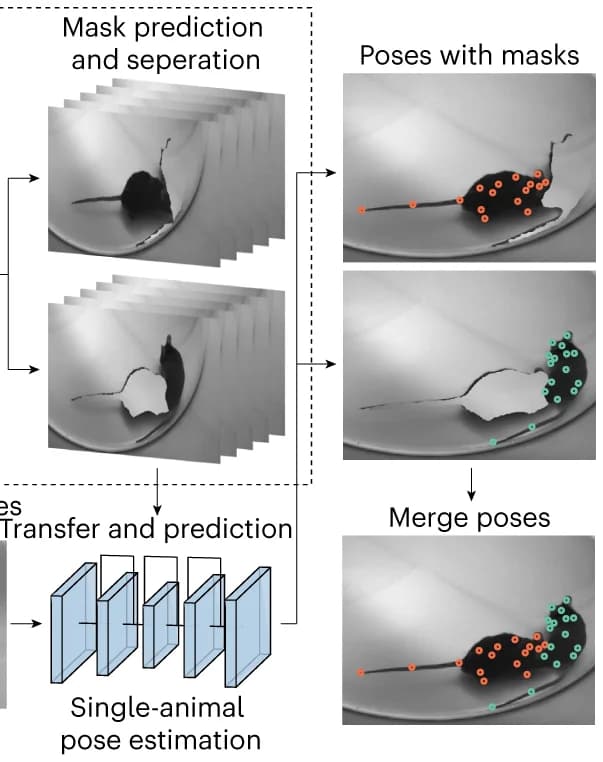 Open access visualization of Workflow, Illustration, Mask Prediction, Pose Prediction, Spatial-temporal Learning