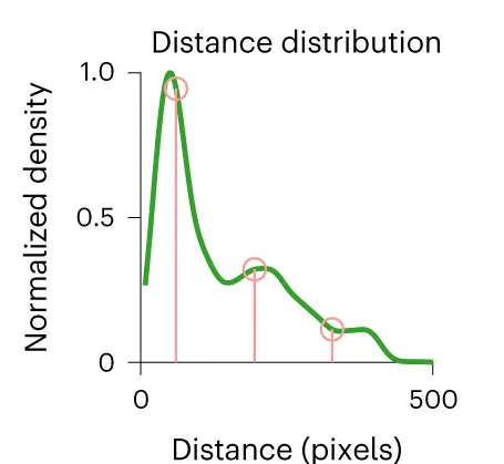 Open access visualization of Density Plot, Line Plot, Distance Distribution, Free-moving Mice, K-means Clustering