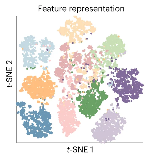 Open access visualization of Scatter Plot, UMAP, Feature Representation, Animal Identification, t-SNE