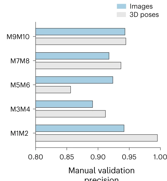 Open access visualization of Bar Plot, Clustered, Validation Precision, Animal Identification