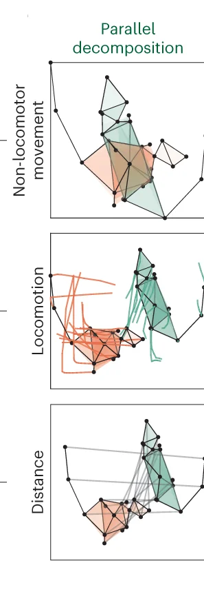 Open access visualization of Scatter Plot, Line Plot, Parallel Decomposition, Trajectories, Non-Locomotor Movement