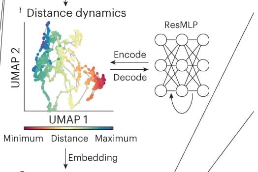 Open access visualization of UMAP, Network, Feature Representation, Segments, Dimensional Reduction