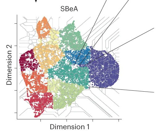 Open access visualization of Scatter Plot, UMAP, SBeA Construction, Adaptive Watershed, Clustering