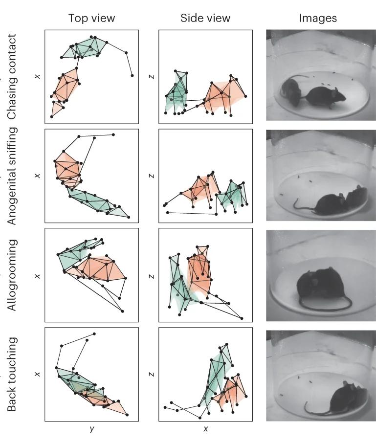 Open access visualization of Scatter Plot, Photo, Social Behavior Cases, Clustered, SBeA