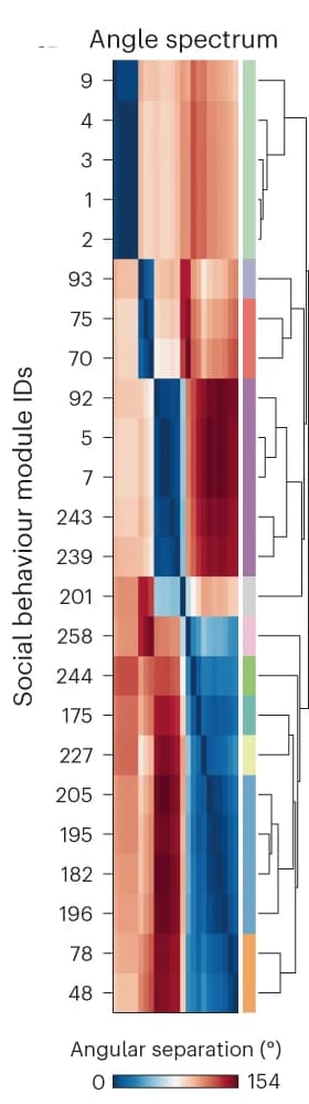 Open access visualization of Heatmap, Clustered, Social Behavior Modules, Behavioral Feature Angles, PCA