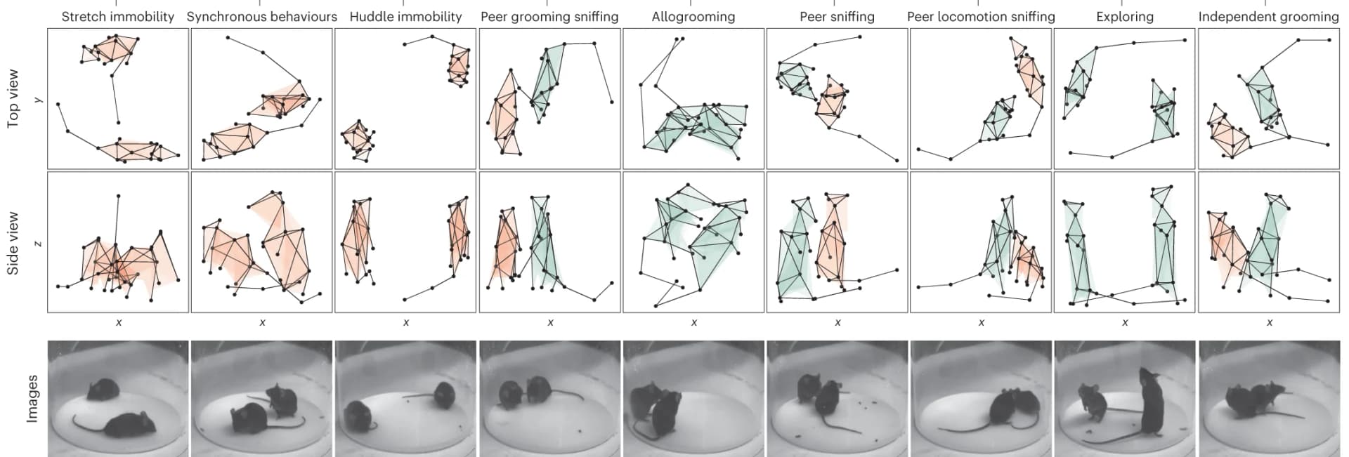 Open access visualization of Scatter Plot, Photo, Microscopy, Line Plot, Social Behavior Modules