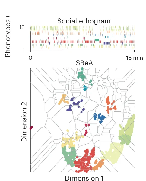 Open access visualization of Scatter Plot, Bar Plot, Social Ethogram, Dogs