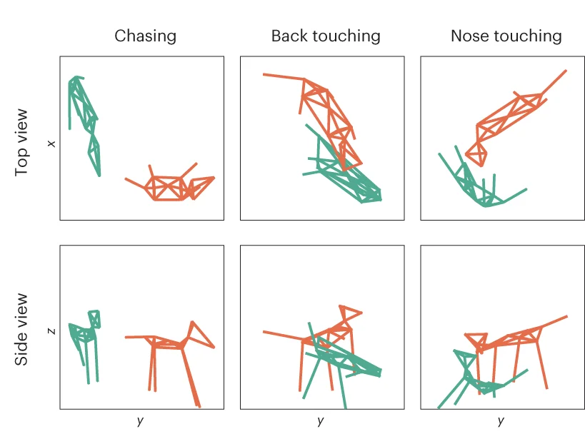 Open access visualization of Line Plot, 3D Social Behavior, Dogs