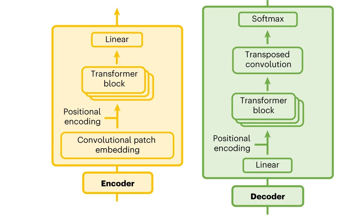 Open access visualization of Workflow, Flowchart, Encoder, Decoder, AbNatiV Model