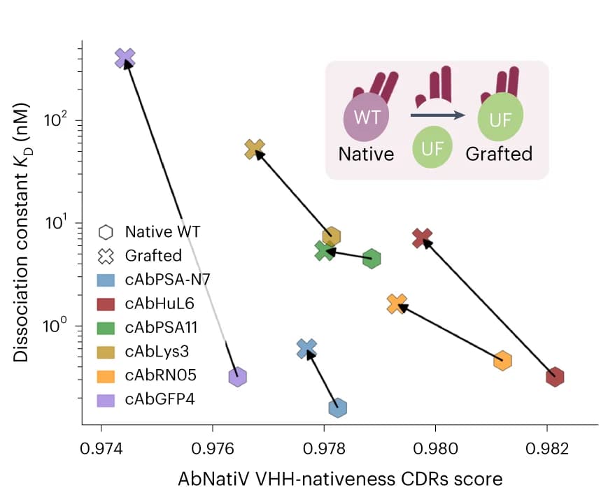 Open access visualization of Scatter Plot, Binding KD, AbNatiV-VHH-nativeness Score, CDR Positions, Nanobodies