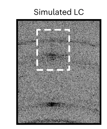Open access visualization of Photo, LC Frame, Poisson Noise, Simulation