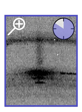 Open access visualization of Microscopy, Pie Chart, HC Frame, Zoom, CDW Reflection