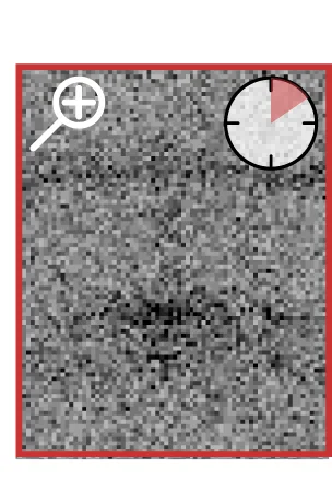 Open access visualization of Microscopy, LC Frame, Zoom, CDW Reflection