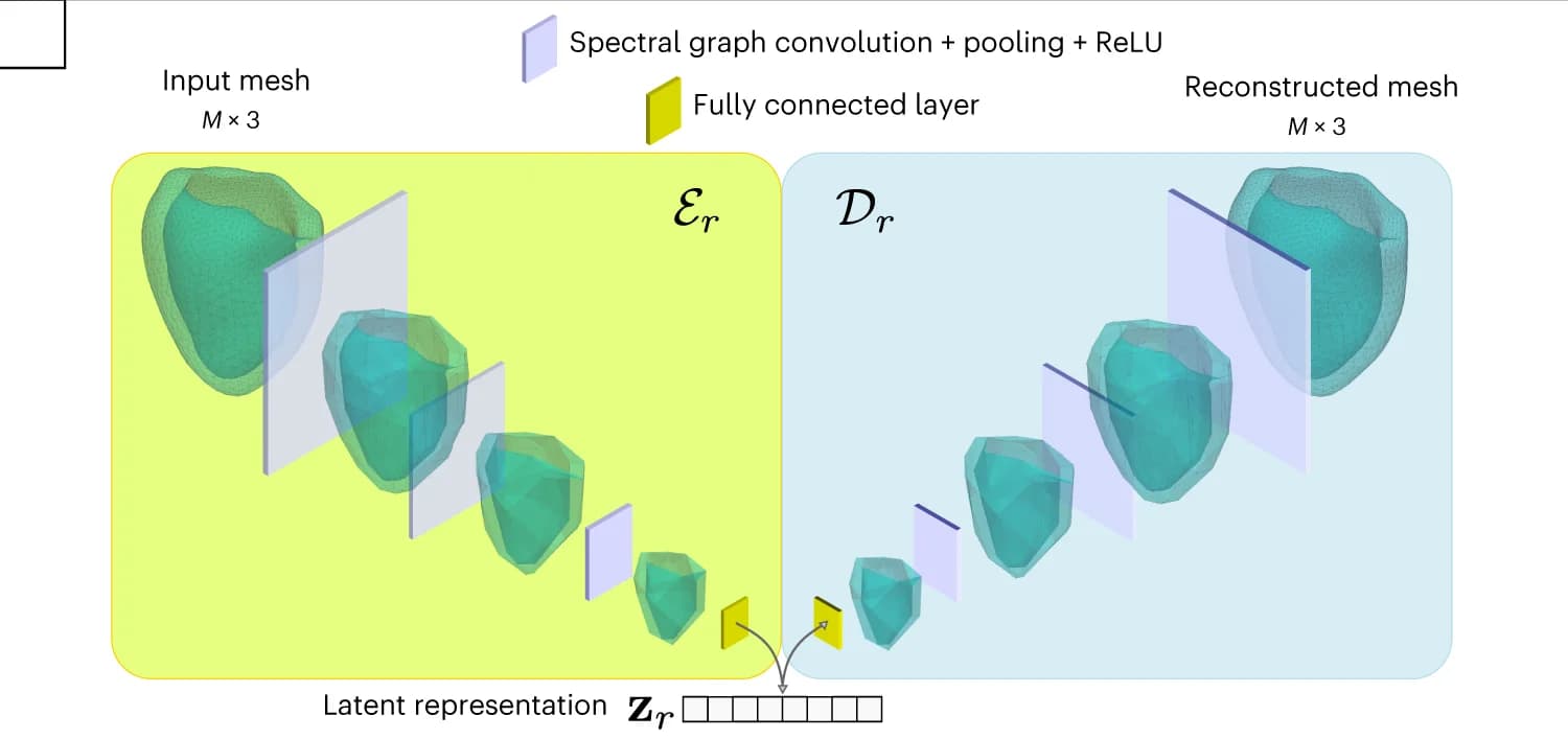 Open access visualization of Workflow, Flowchart, Illustration, Graph-Convolutional Autoencoder, CMR