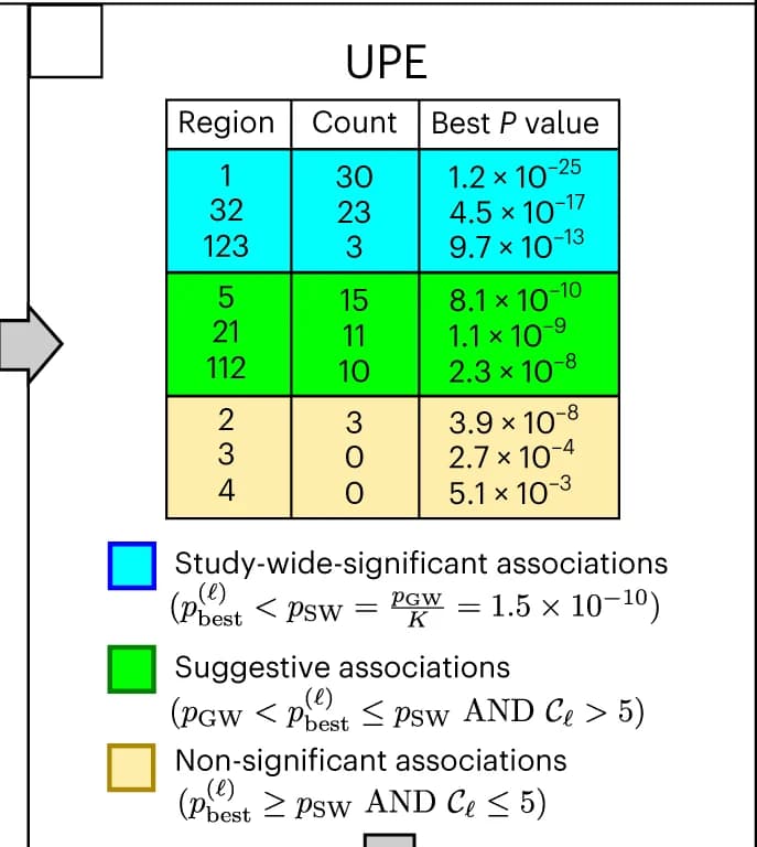 Open access visualization of Table Image, Associations, Ensemble, Significance, Suggestive