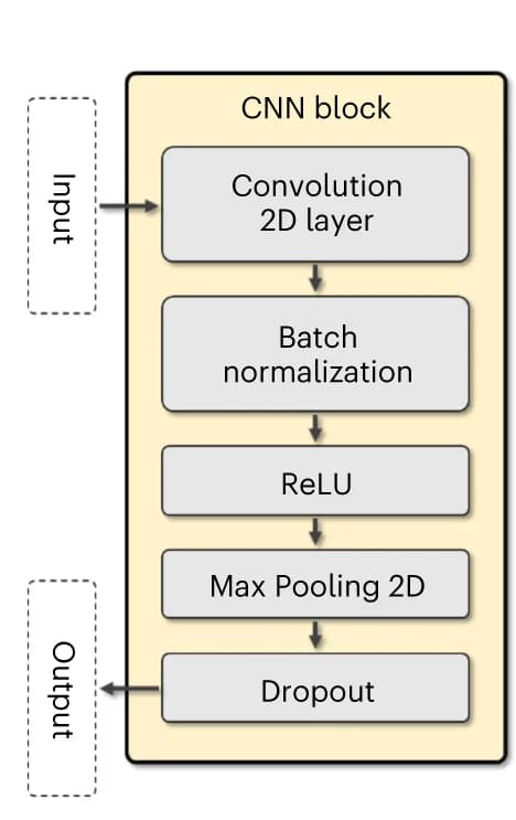 Open access visualization of Workflow, Flowchart, CNN Blocks, Binding Affinity Predictor, Discriminator