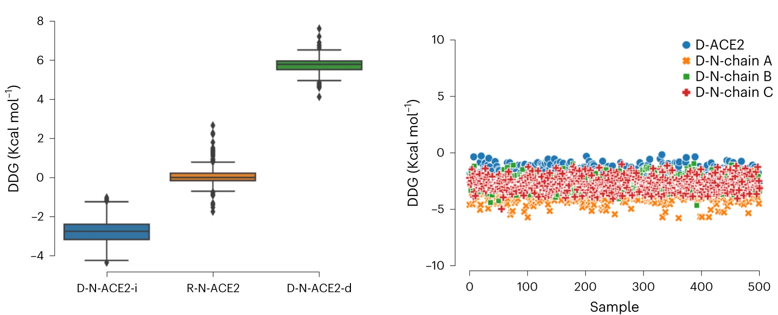 Open access visualization of Box Plot, Scatter Plot, Boxplot, Binding Free Energy, DeepDirect Mutations
