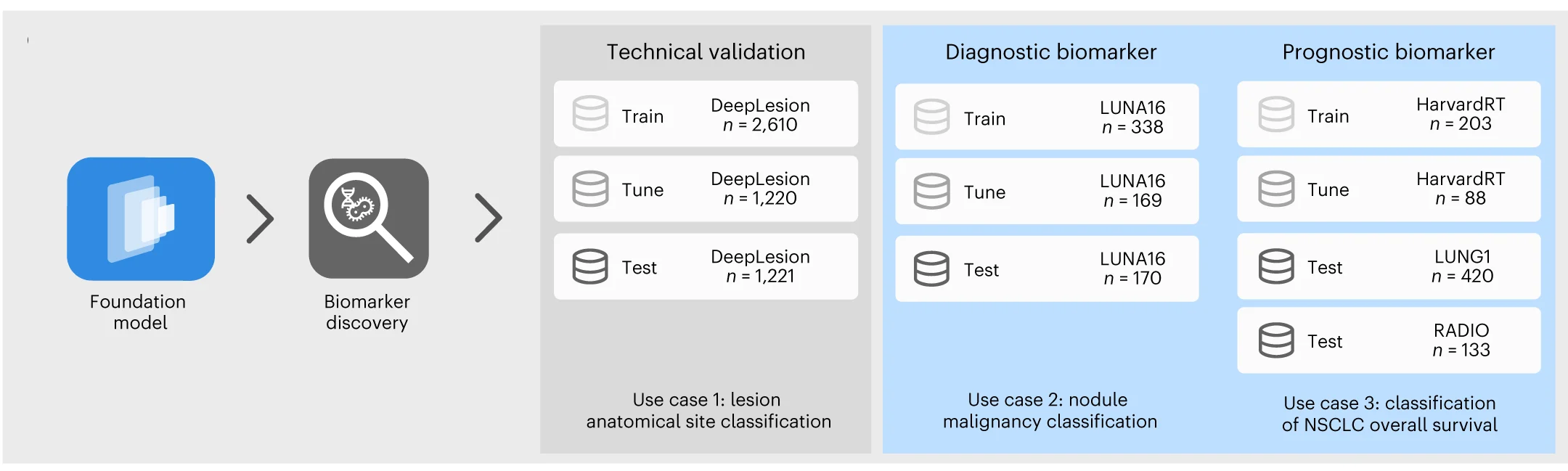 Open access visualization of Workflow, Flowchart, Clinical Application, Foundation Model, Biomarkers