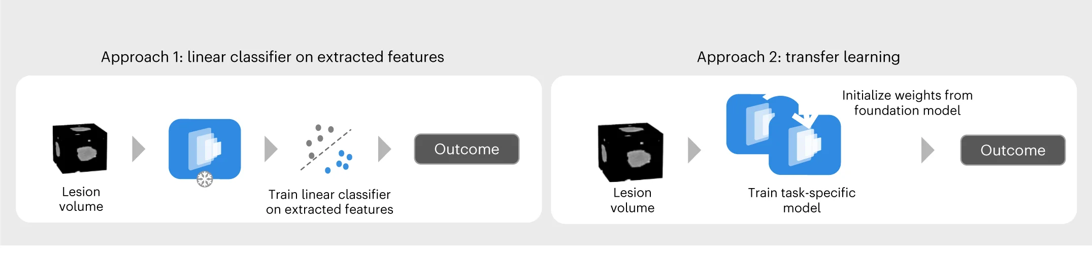 Open access visualization of Workflow, Illustration, Foundation Model, Implementation, Linear Classifier