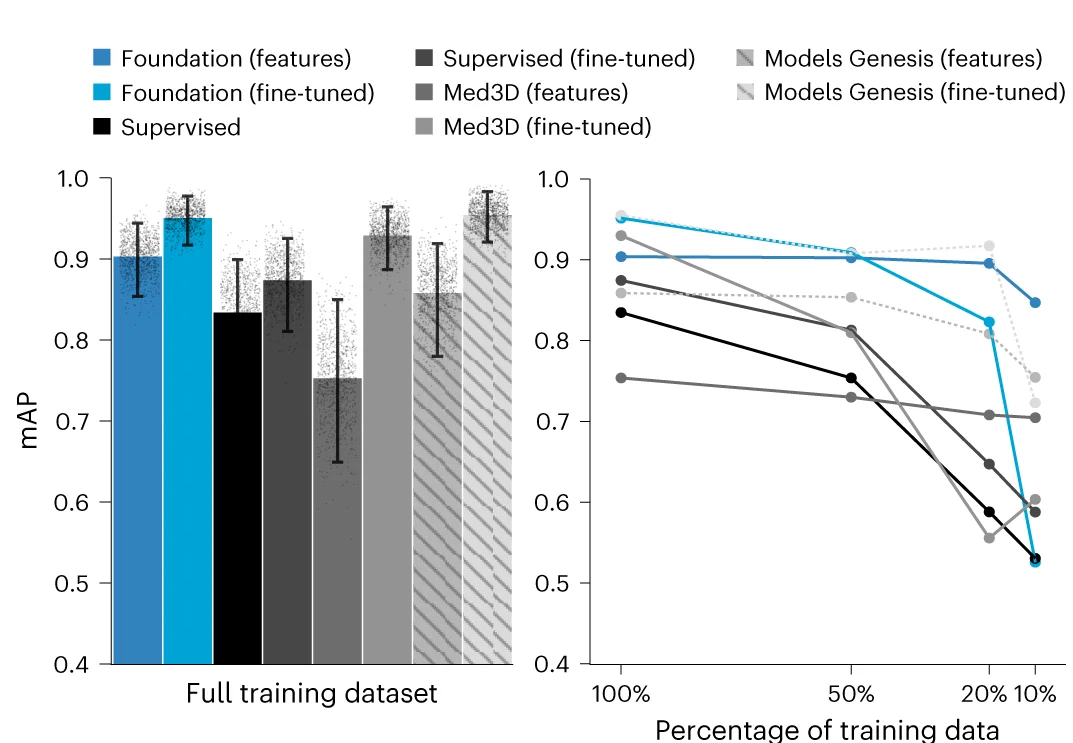Open access visualization of Bar Plot, Error Bars, Line Plot, Foundation Model, mAP